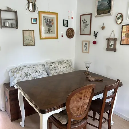 Sur Terrain Arbore Alpehytte Fayet (Aveyron)