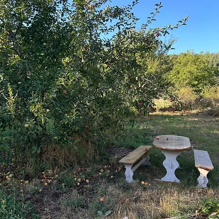 Sur Terrain Arbore Alpehytte *