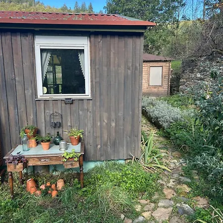 Sur Terrain Arbore *