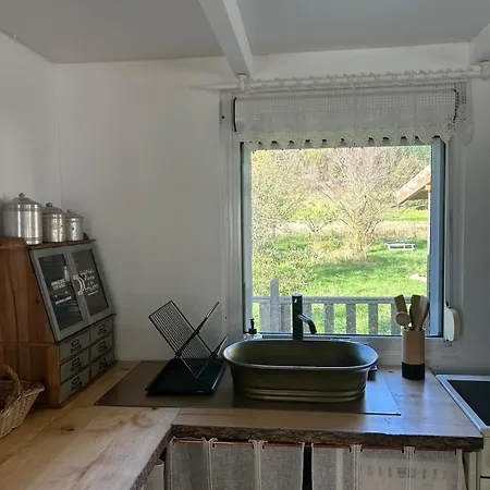 Sur Terrain Arbore *