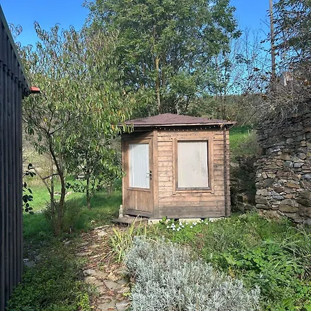 Sur Terrain Arbore Chalet