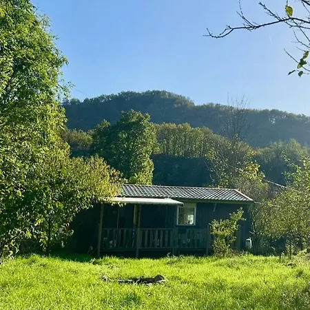 Sur Terrain Arbore Chalet *