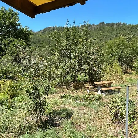 Sur Terrain Arbore Chalet Fayet (Aveyron)